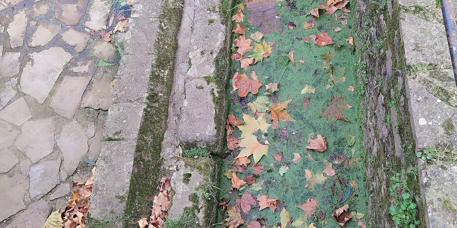 IMG_20251112_123500 BAJA